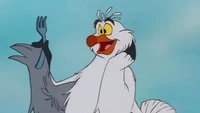 Scuttle muncul di awal film dan berperan besar hingga akhir film. Burung camar yang tak bisa bernyanyi ini merupakan guru Ariel tentang segala hal di dunia manusia. Karakter Scuttle disuarakan oleh Buddy Hackett. (Foto: dok. Disney)