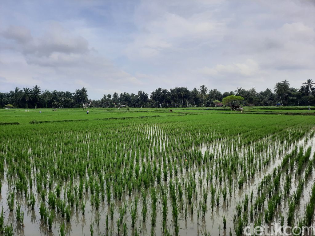 The Village Silulu