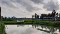 Di sana, traveler dapat menemukan hamparan sawah, kolam pemancingan, sungai jernih untuk berenang, peternakan mini, hingga penginapan. (Putu Intan/detikcom)