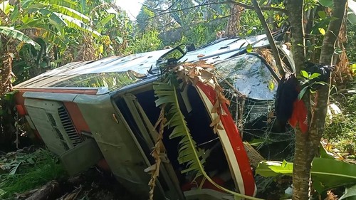 Sopir M-Bus yang nyungsep ke kebun sedalam 15 meter mengaku jatuh karena ditabrak bus Bagong setelah menghindari motor di depannya.