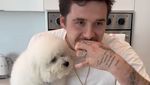 Sering Pamer Masak, Ini Penampilan Dapur Brooklyn Beckham