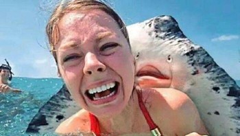 Foto dengan ikan pari yang menyeramkan. Foto: nonaestheticsthings via Bored Panda