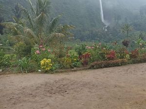 Rumah Surga Rp 2,5 M Rusak Halamannya, Pemilik: Malah Hangat Suasananya