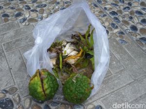 Diteror OTK, Rumah Ortu Ken Admiral Dikirimi Jeruk Purut