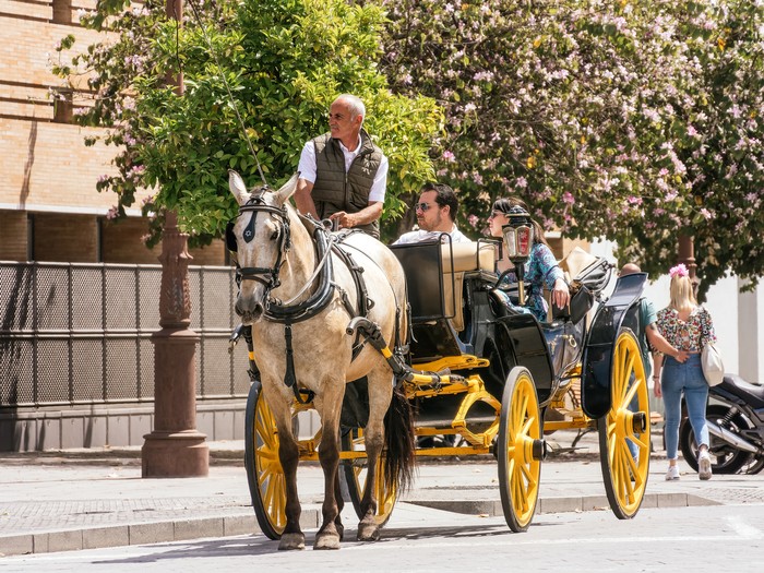 Kereta kuda di Seville