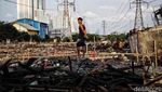 Potret Terkini Permukiman di Muara Angke yang Ludes Terbakar