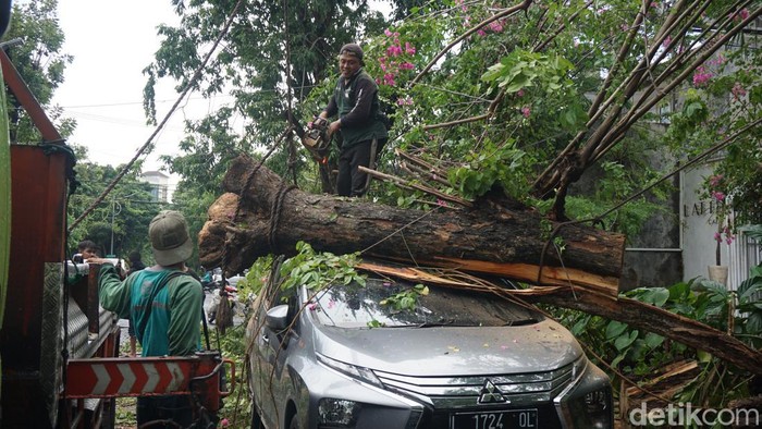 Mobil Xpander yang parkir di resto Surabaya tertimpa pohon