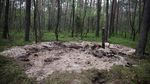 Puing Objek Militer Misterius Ditemukan di Hutan Polandia