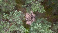 Objek militer tak teridentifikasi itu ditemukan di area hutan dekat kota Bydgoszcz, Polandia bagian utara.