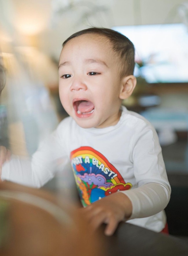 Pemilik nama lengkap Rayyanza Malik Ahmad lahir pada November 2021. Walaupun saat ini usianya baru 1 tahun namun Rayyanza atau yang kerap dipanggil Cipung itu sudah memiliki cukup banyak penggemar. Foto: Instagram/@raffinagita1717