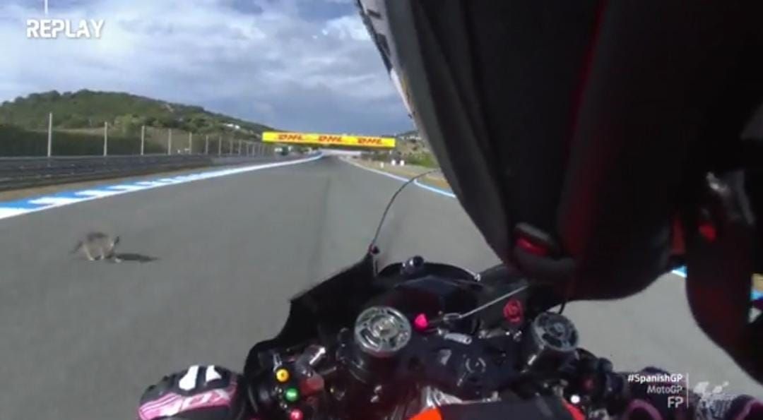 Aleix Espargaro hampir tabrak kucing.