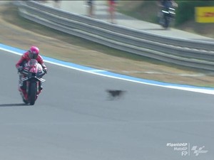 Detik-detik Aleix Espargaro Nyaris Tabrak Kucing di MotoGP Spanyol