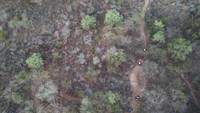 Suhu panas yang terjadi dalam beberapa waktu terakhir menyebabkan kawasan hutan kota tersebut mengering.