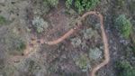 Cuaca Panas Bikin Hutan Kota di Palu Mengering