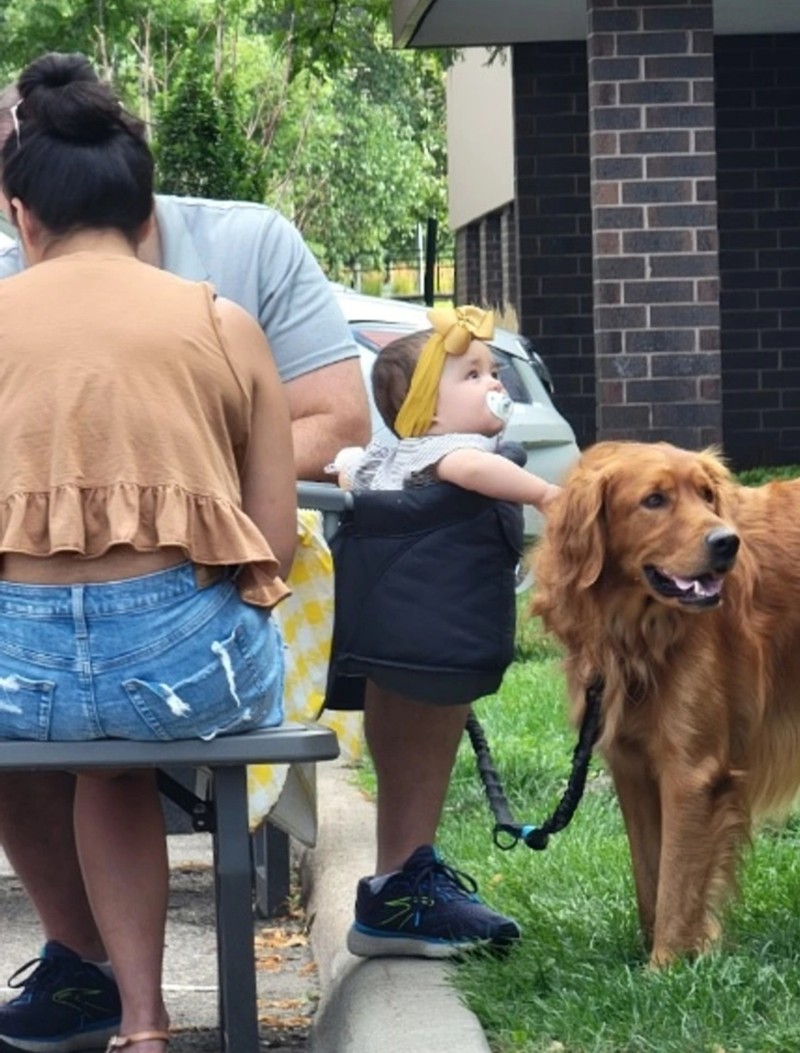 fotoinet Kumpulan Foto Ilusi yang Membingungkan Mata