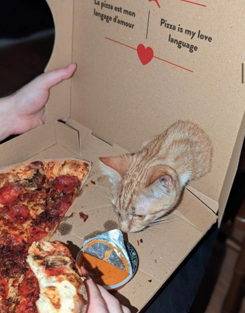 fotoinet Kumpulan Foto Ilusi yang Membingungkan Mata