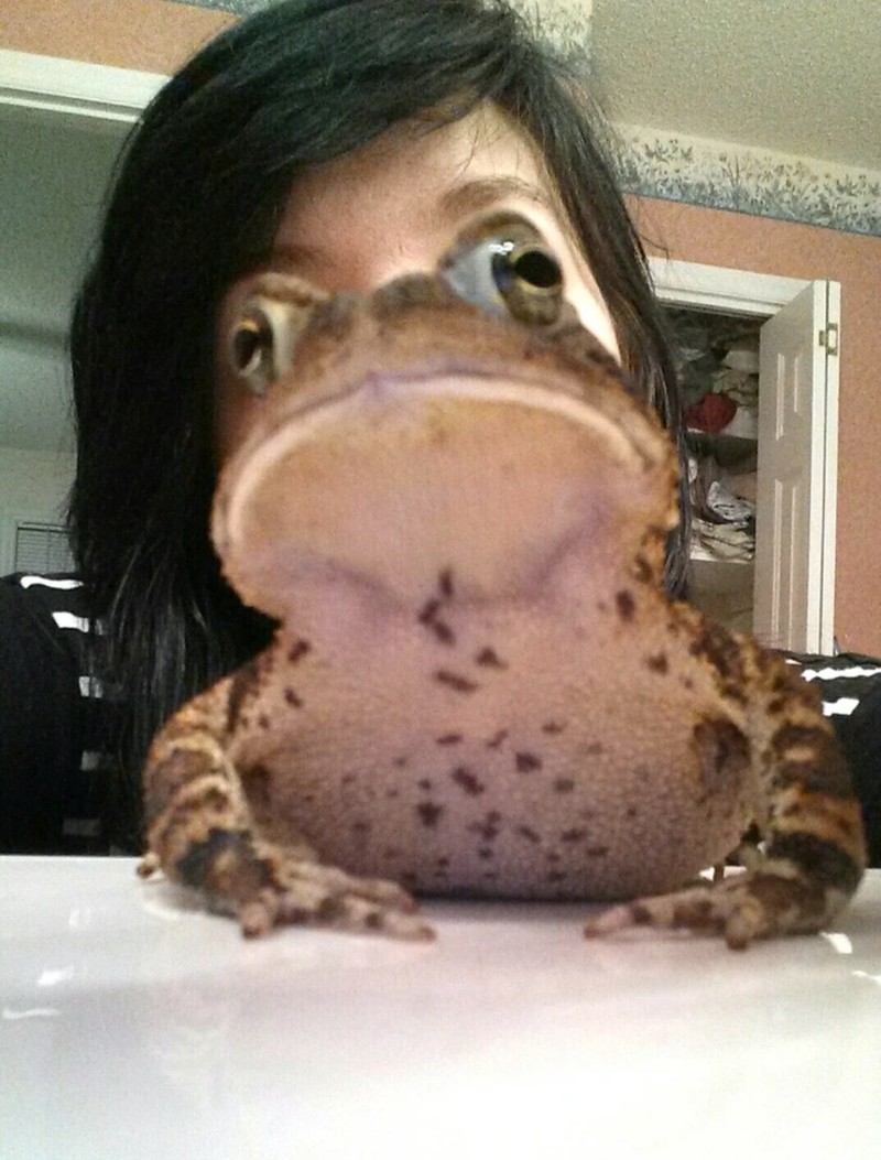 fotoinet Kumpulan Foto Ilusi yang Membingungkan Mata