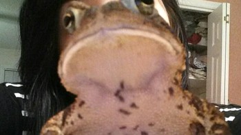 Mata kodok apa mata manusia nih? Foto: Brightside