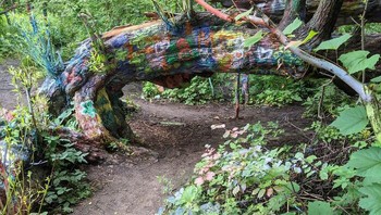 Pohon Hippie terletak jauh di dalam hutan di luar suaka tua yang dikelola negara Michigan. Hutan ini terkenal dalam legenda lokal. Diyakini bahwa hantu pasien rumah sakit jiwa yang gelisah menghantui salah satu pohon di hutan itu. Foto: Boredpanda