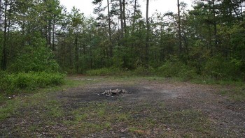 Devils Tramping Ground, Carolina Utara, AS. Ada area lingkaran mistis di hutan Carolina Utara di mana tidak ada flora yang tumbuh, dan tidak ada hewan yang bisa  melewatinya. Menurut pengetahuan setempat, wilayah lingkaran ini disebut-sebut sebagai tanah injak setan, dan diyakini menjadi tempat menari setan setiap malam. Foto: Boredpanda