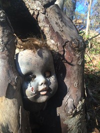 fotoinet Kumpulan Hutan di Dunia Menyeramkan dan Penuh Misteri