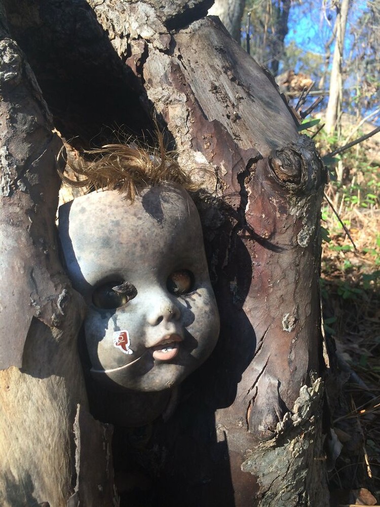 fotoinet Kumpulan Hutan di Dunia Menyeramkan dan Penuh Misteri