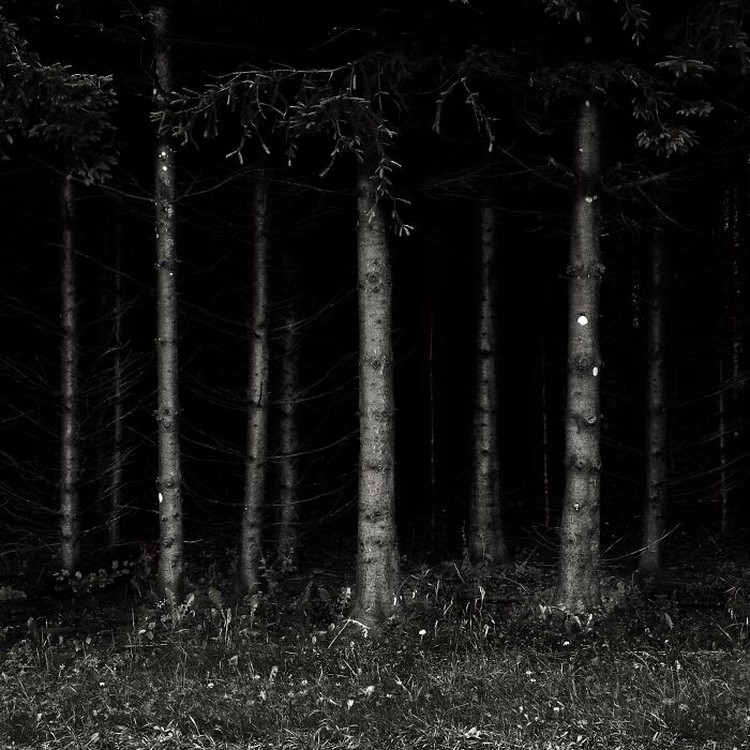 fotoinet Kumpulan Hutan di Dunia Menyeramkan dan Penuh Misteri
