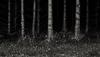 The Black Forest (Hutan Hitam), Jerman. Beberapa legenda yang terkait dengan hutan yang lebat dan suram ini menjadi latar dongeng Grimm Brothers yang menakutkan seperti Hansel dan Gretel. Selain penunggang kuda tanpa kepala, nimfa yang hidup di bawah air, dan manusia serigala, hutan ini menjadi latar fiksi untuk berbagai kisah fantastis. Foto: Boredpanda