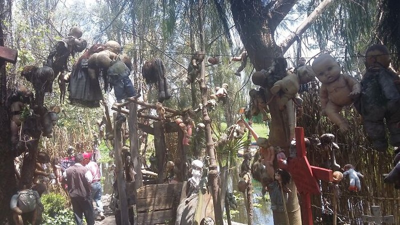 fotoinet Kumpulan Hutan di Dunia Menyeramkan dan Penuh Misteri