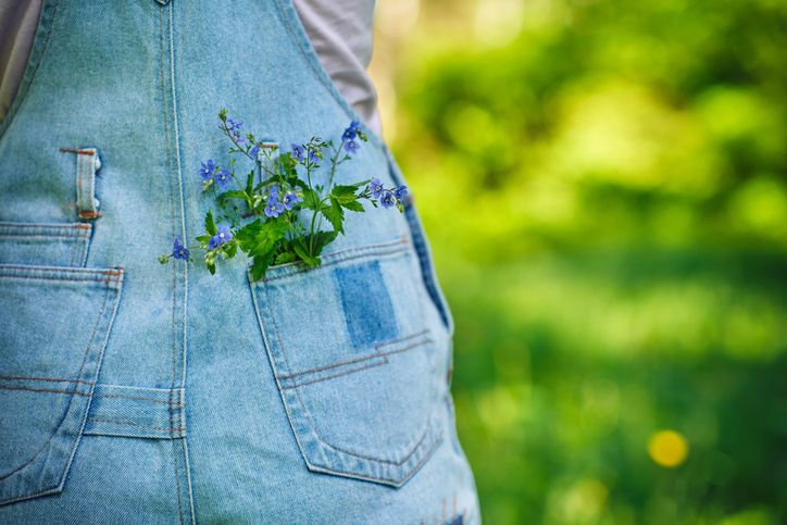 Small beautiful flowers in jeans pocket, close up. Woman standing back to the camera on green summer background.