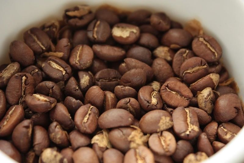 Ini 4 Cara Sederhana untuk Mengecek Kesegaran Biji Kopi