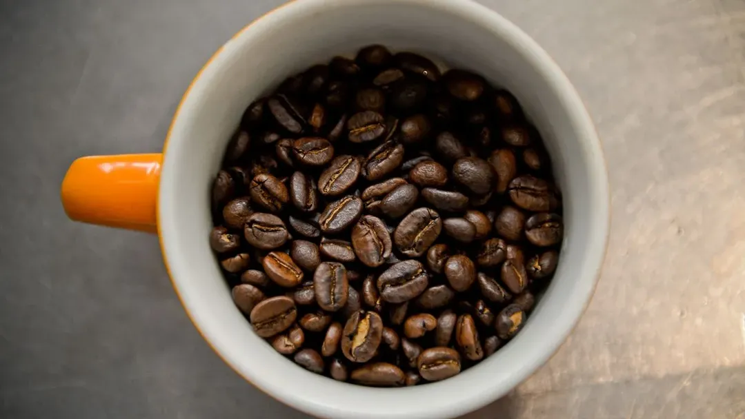 Ini 4 Cara Sederhana untuk Mengecek Kesegaran Biji Kopi