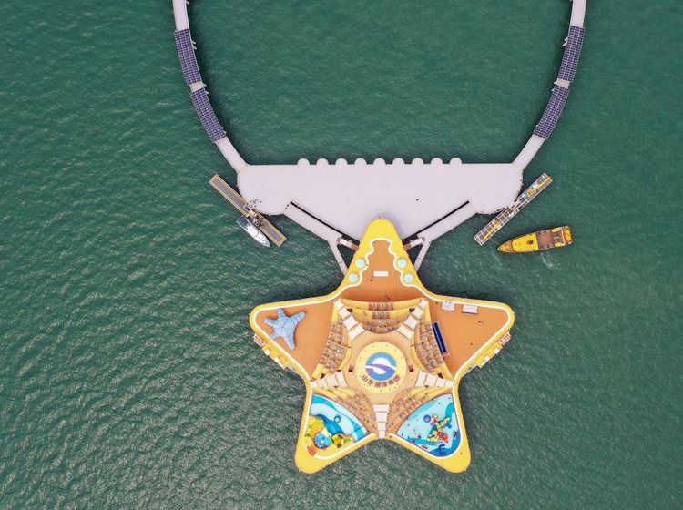 Lihat Lebih Dekat Bintang Laut Raksasa di China