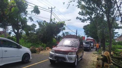 Proses pemotongan dahan pohon yang tumbang di Jalan Raya Singaraja-Seririt, Sabtu (29/4/2023). (IST)