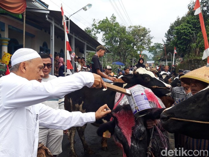 Tradisi bakdo sapi di Dukuh Mlambong, Desa Sruni, Kecamatan Musuk, Kabupaten Boyolali, Sabtu (29/4/2023).