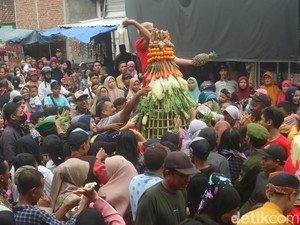 Tradisi Bulusan di Hadipolo Kudus, Kirab Gunungan hingga Beri Makan Bulus