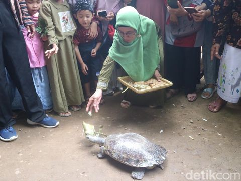 Tradisi Kupatan Gebyar Festival Budaya Bulusan di Desa Hadipolo, Kecamatan Jekulo, Kudus, Sabtu (29/4/2023).