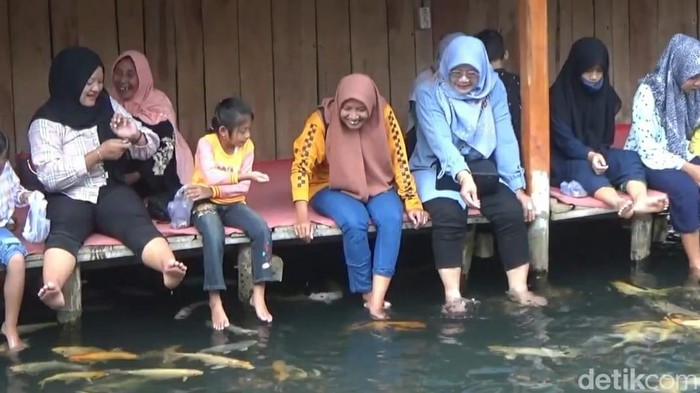 Wisata terapi ikan di Pelang Tuban