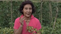 Punya gaya yang keren, dan pembawaan yang asyik, tak heran mantan menteri yang satu ini digemari banyak orang. Selain masak, dirinya juga suka bercocok tanam sayuran hingga cabai. Foto: Instagram @susipudjiastuti115