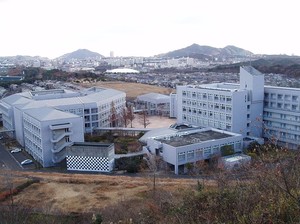 Beasiswa ke Jepang MEXT Scholarship 2024 Jenjang Diploma, Daftar Yuk!