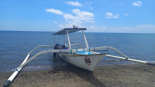 Suasana Pantai Lovina, salah satu pemandu wisata sedang memarkirkan perahu di pesisir pantai usai mengantar turis melihat lumba-lumba, Minggu (30/4/2023).