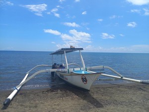 Makin Banyak Wisman ke Lovina Lihat Lumba-lumba hingga Snorkeling