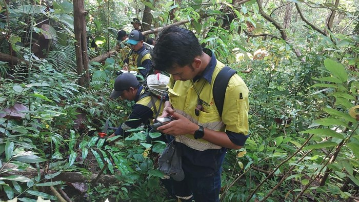 pembangunan infrastruktur pt bsi banyuwangi