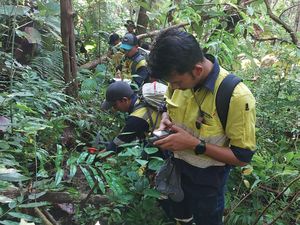 Berdayakan Ekonomi Warga, Pembangunan 5 Desa di Banyuwangi Lebih Maju