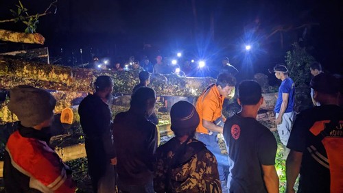 Proses pembersihan batang pohon Bunut tumbang yang menutup jalur Tabanan-Singaraja di Desa Belimbing, Kecamatan Pupuan, Sabtu (29/4/2023).