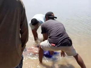 Pria di Lombok yang Hilang Saat Menyelam Ditemukan Tewas-Kaki Putus