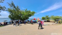 Selain berupa padang rumput, kawasan WGM yang mengering itu juga menjadi lahan pertanian jagung dan padi. detikJateng pun mengunjungi kawasan padang rumput itu dari Desa Glesungrejo. Jaraknya sekitar 1,5 - 2 kilometer dari permukiman (Foto: Muhammad Aris Munandar/detikJateng)