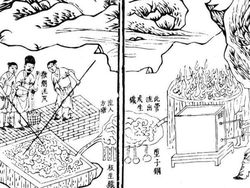 Wow, Teknologi Modern Ini Ditemukan di Zaman Kuno