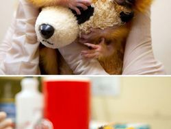 Gemas! Potret Bayi Hewan Lucu Banget