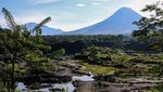 Gunung Merapi Sambut Awal Mei dengan Lava Pijar